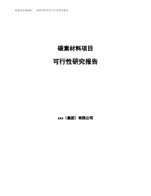 碳素材料项目可行性研究报告