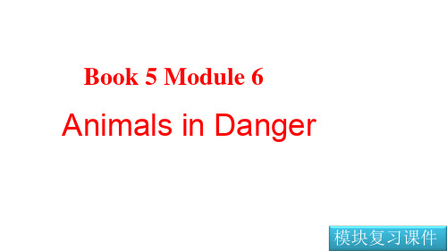 Module 6.Animals in Danger