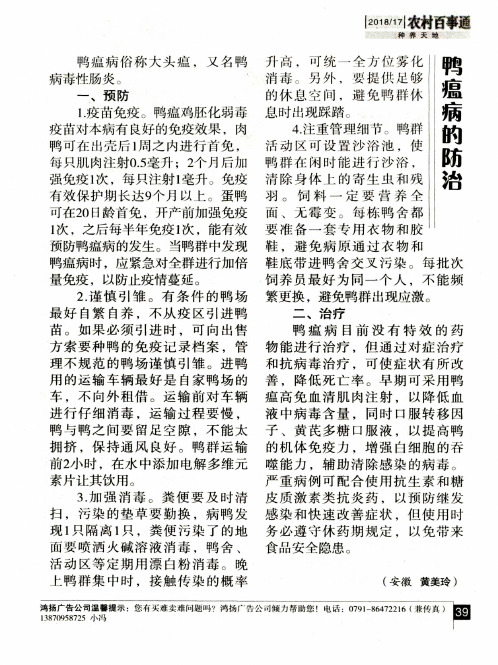鸭瘟病的防治
