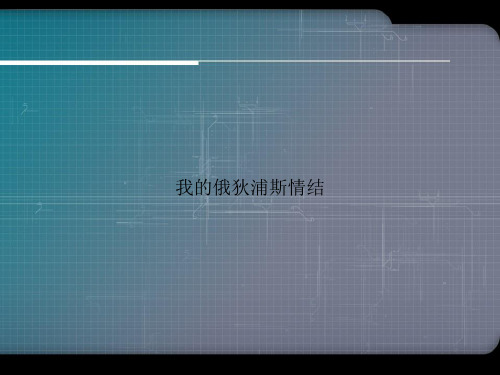 我的俄狄浦斯情结优选演示
