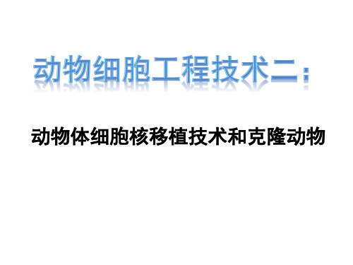 高中生物动物细胞核移植技术