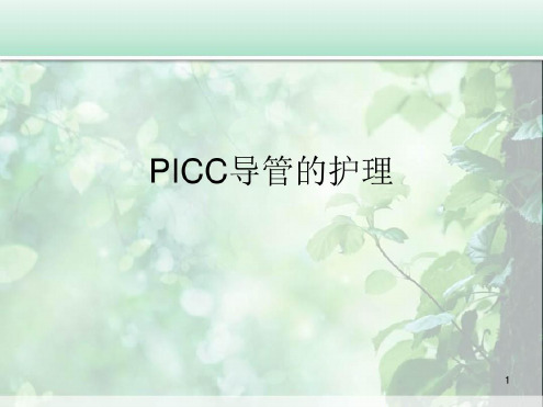 PICC导管的护理幻灯片