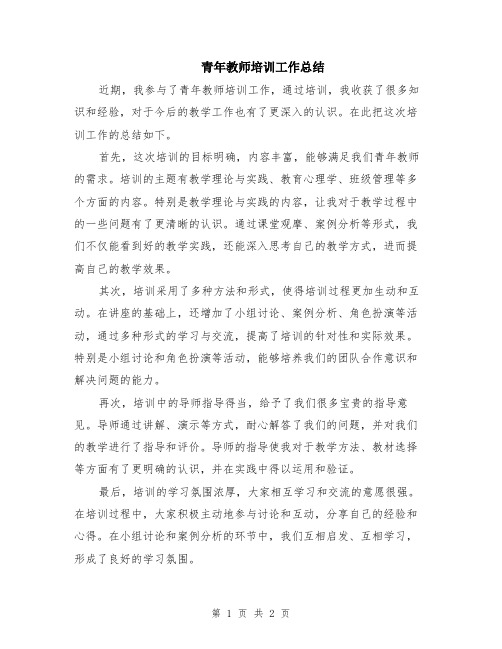 青年教师培训工作总结