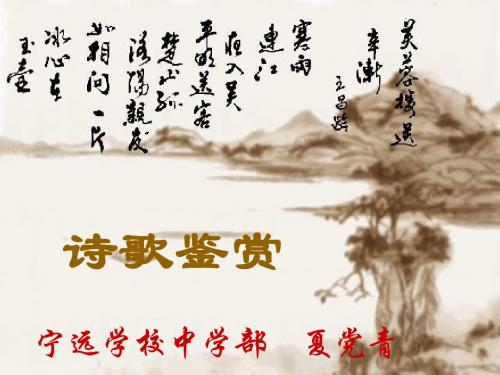 中国现代诗歌