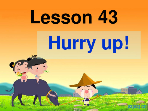 新概念英语lesson43-44(共34页)课件