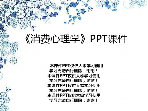 《消费心理学》PPT课件