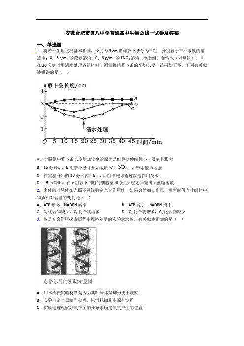 安徽合肥市第八中学普通高中生物必修一试卷及答案