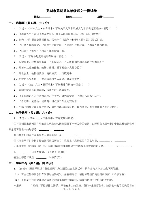 芜湖市芜湖县九年级语文一模试卷