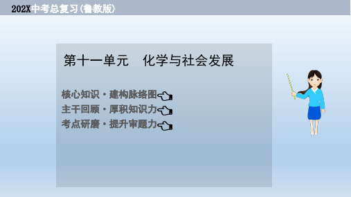 鲁教版中考化学大一轮单元总复习：第十一单元 化学与社会发展