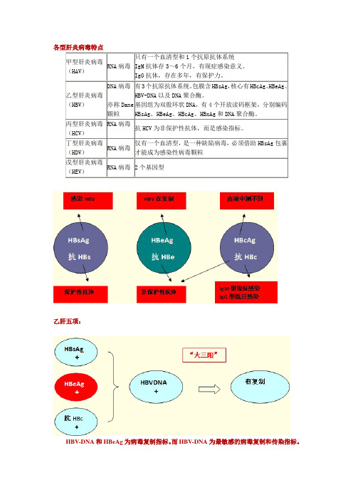 乙肝图解