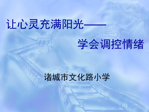 心理健康主题班会――让心灵充满阳光PPT课件