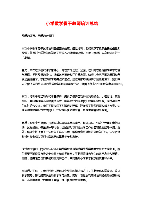 小学数学骨干教师培训总结