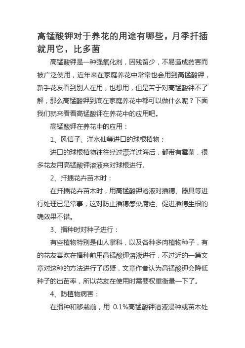 高锰酸钾对于养花的用途有哪些,月季扦插就用它,比多菌灵都好用