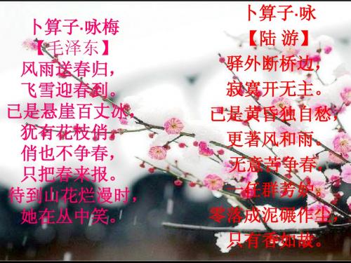 《卜算子咏梅》毛泽东