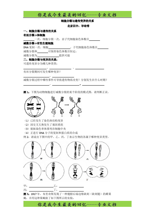 北京市第四中学高考生物总复习例题讲解：细胞分裂与遗传变异的关系