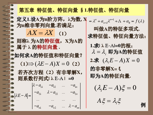 线性代数第五章特征值特征向量