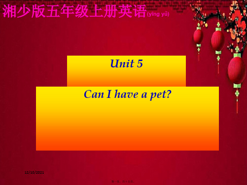 五年级英语上册 unit 5 can i have a pet课件3