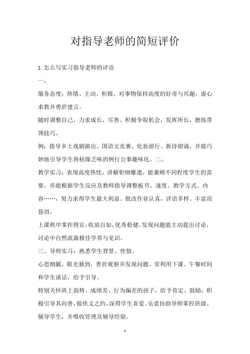 对指导老师的简短评价