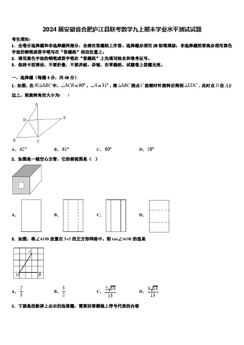 2024届安徽省合肥庐江县联考数学九上期末学业水平测试试题含解析