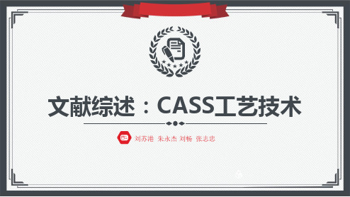 CASS工艺处理