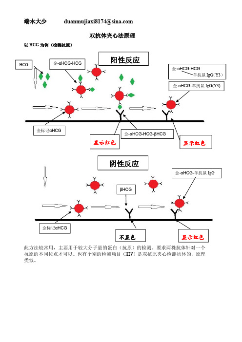 免疫层析各种方法法原理