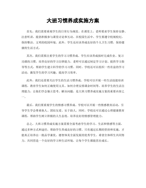 大班习惯养成实施方案