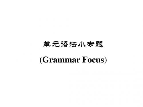 单元语法小专题(Grammar Focus)