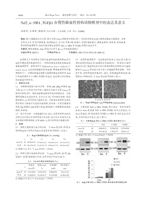 Nrf2、α￣SMA、TGFβ1在慢性缺血性肾病动物模型中的表达及意义