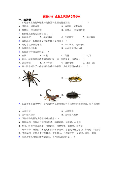 贵阳市初二生物上学期试卷带答案