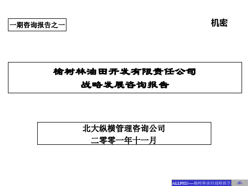 某油田开发有限责任公司战略发展咨询报告PPT课件(PPT239页)