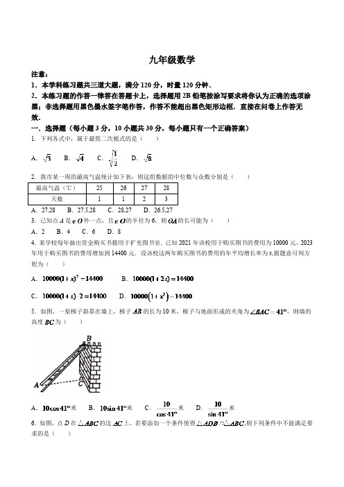 湖南省衡阳市蒸湘区2024届九年级下学期中考一模数学试卷(含答案)