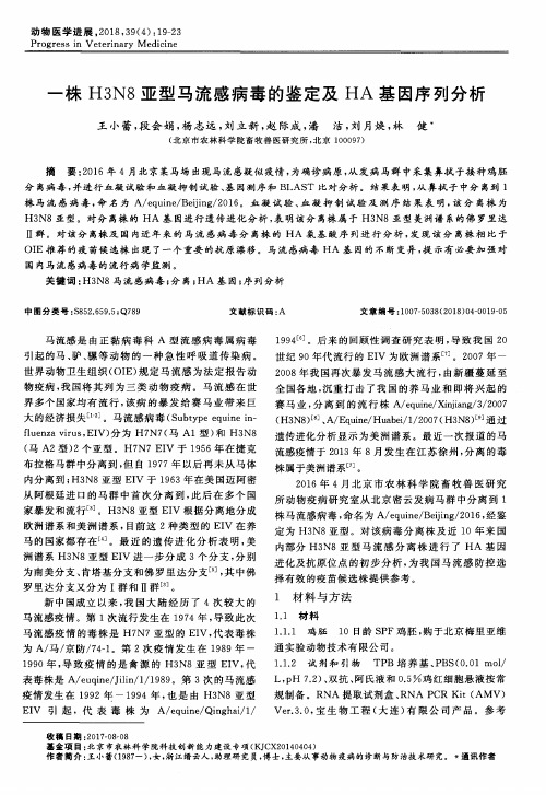 一株H3N8亚型马流感病毒的鉴定及HA基因序列分析