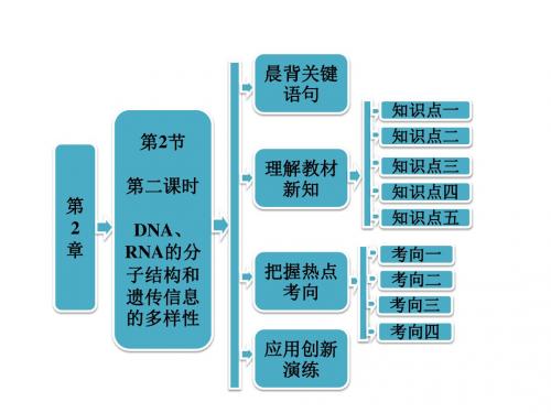 2017-2018学年高中生物北师大版必修2第2章  第2节  第二课时 DNA、RNA 的分子结构和遗传信息的多样性