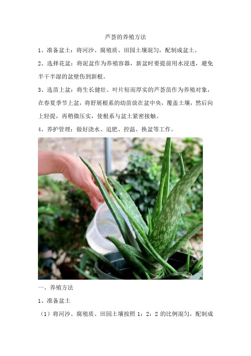 芦荟的养殖方法