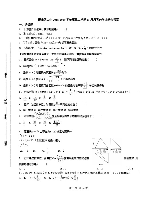 青浦区二中2018-2019学年高三上学期11月月考数学试卷含答案