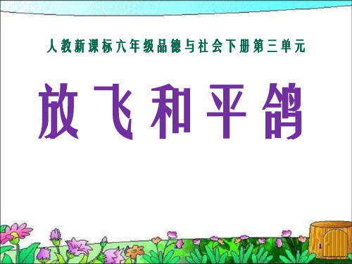人教版品德与社会六下放飞和平鸽课件之三