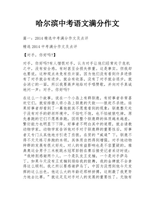 哈尔滨中考语文满分作文