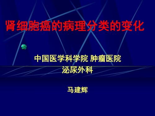 肾细胞癌的病理分类变化ppt课件