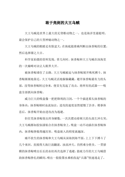 敢于亮剑的大王乌贼_哲理故事