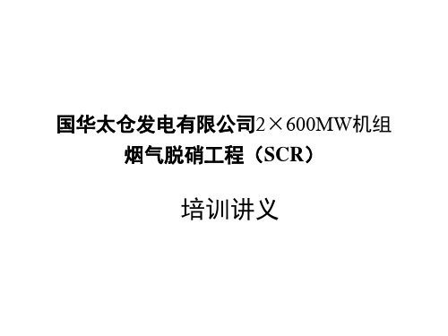 脱硝培训讲义(SCR 液氨法)