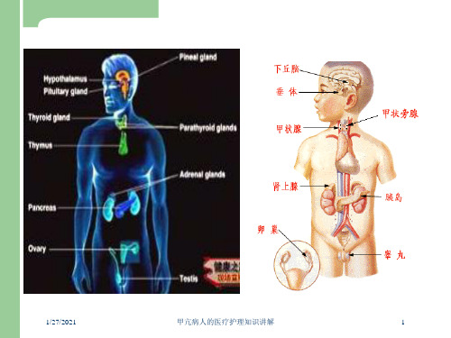 甲亢病人的医疗护理知识讲解培训课件