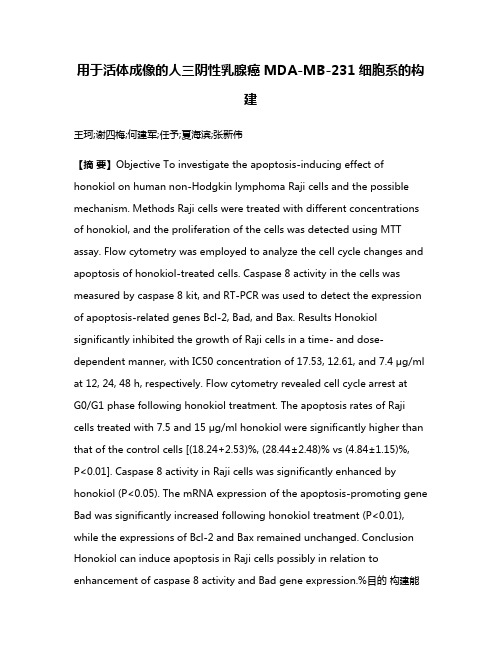 用于活体成像的人三阴性乳腺癌MDA-MB-231细胞系的构建