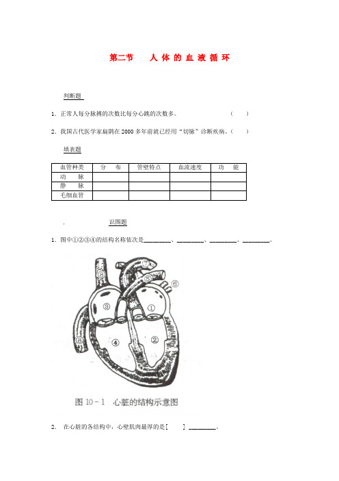 七年级生物下册 10.2血液循环同步测试(无答案)(新版)苏教版