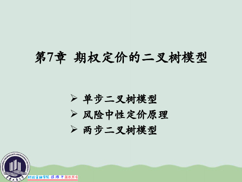 期权定价的二叉树模型(ppt 39页)