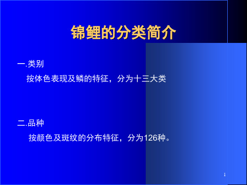 锦鲤养殖技术讲座锦鲤的分类PPT课件