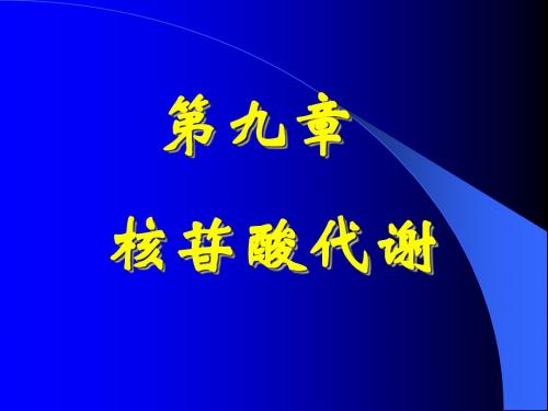 07级核苷酸代谢共37页PPT资料