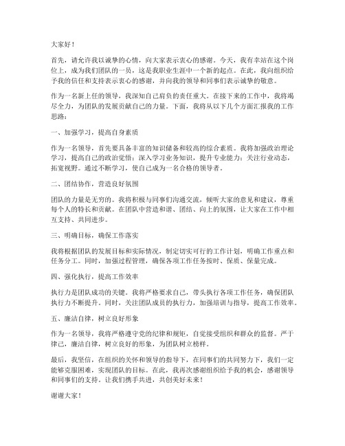 新上任给领导汇报发言稿