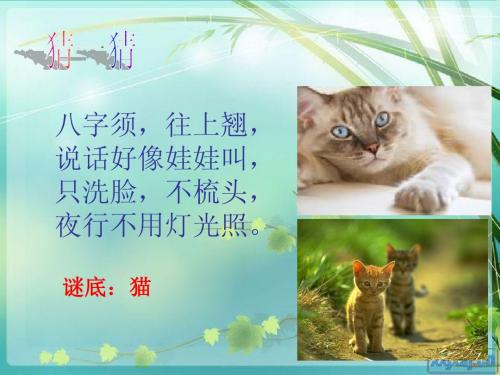 《猫》   郑振铎ppt课件