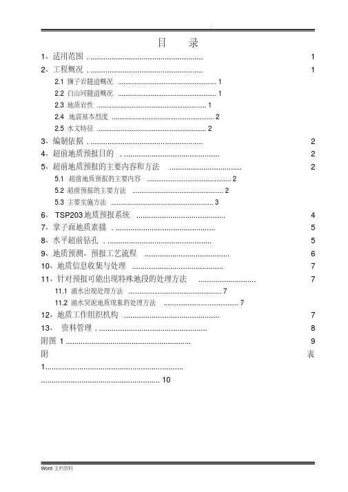 超前地质预报实施细则(经典版)(20200602171317)