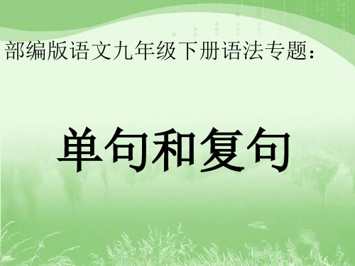 2020年山西省中考语文专题 单句复句